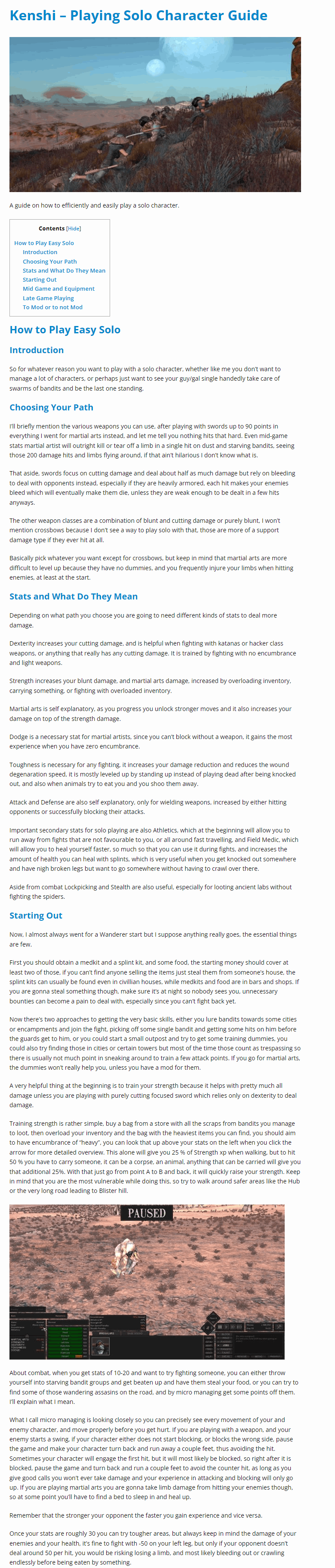 Playing Solo Character Guide